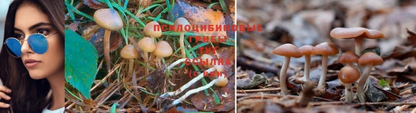 дурь Баксан